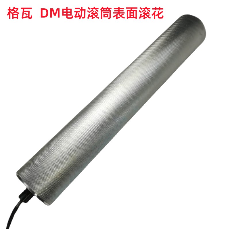 DM102電動(dòng)輥筒